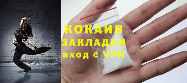 индика Дмитров
