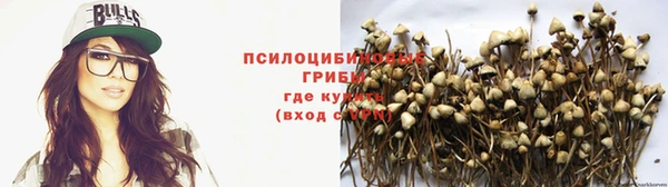 МДПВ Дмитриев