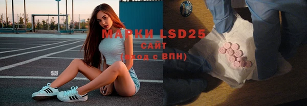 индика Дмитров