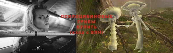 МДПВ Дмитриев