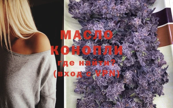 МДПВ Дмитриев