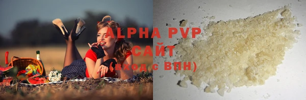 индика Дмитров