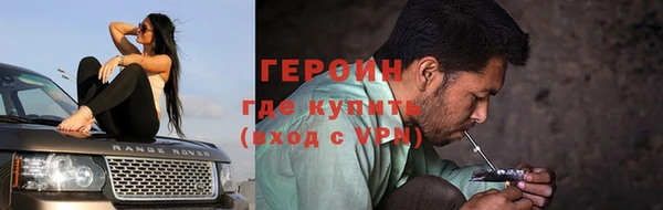 индика Дмитров