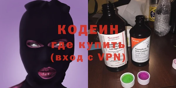 индика Дмитров