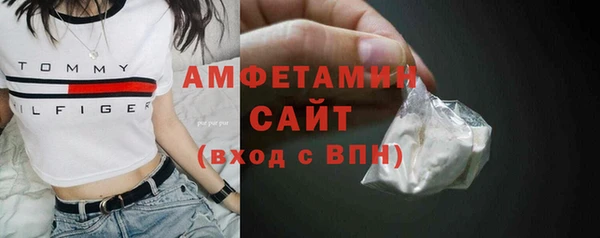 индика Дмитров