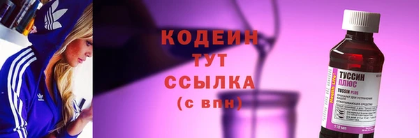индика Дмитров