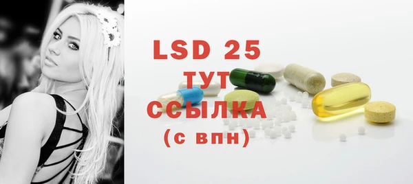 индика Дмитров
