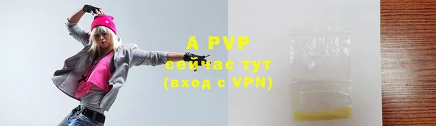 индика Дмитров
