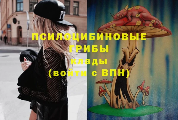 МДПВ Дмитриев