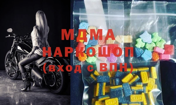 индика Дмитров