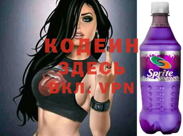 индика Дмитров