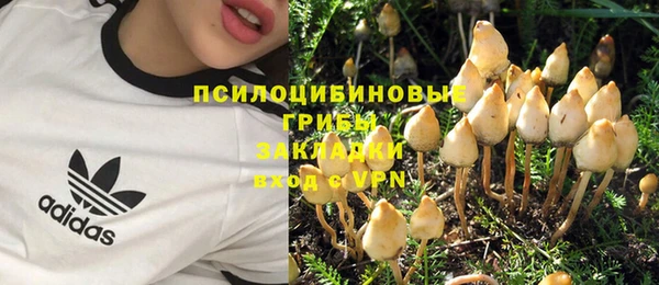 МДПВ Дмитриев