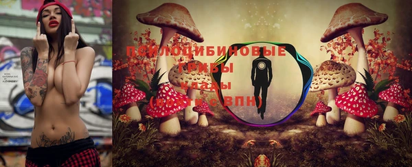 МДПВ Дмитриев
