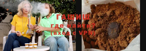 индика Дмитров