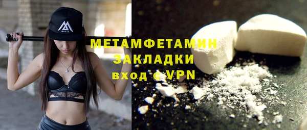 индика Дмитров