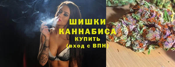 индика Дмитров