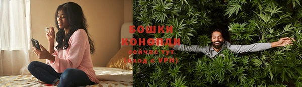 МДПВ Дмитриев