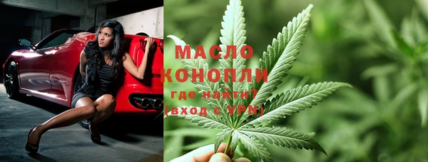 индика Дмитров