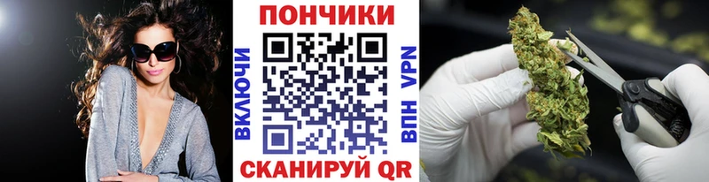 Бошки Шишки ГИДРОПОН  Купить закладки  Таруса 